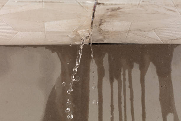 Professional Structural Drying technician working in Edgewood, MD